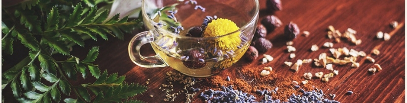 ayurveda ayurveda