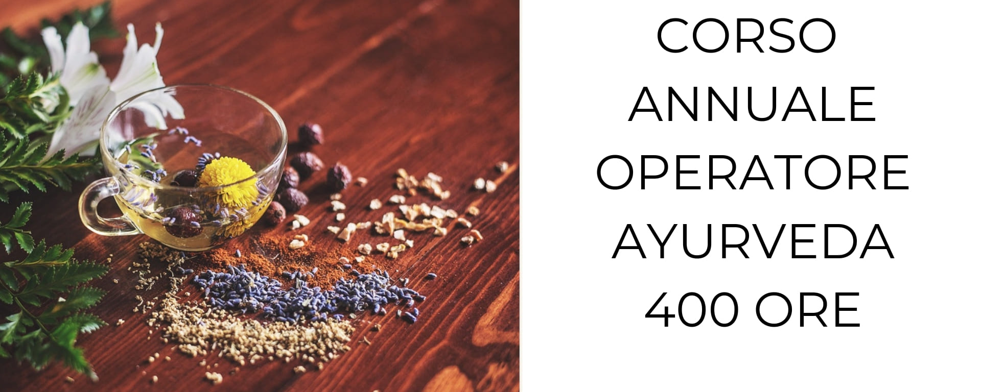 ayurveda 2