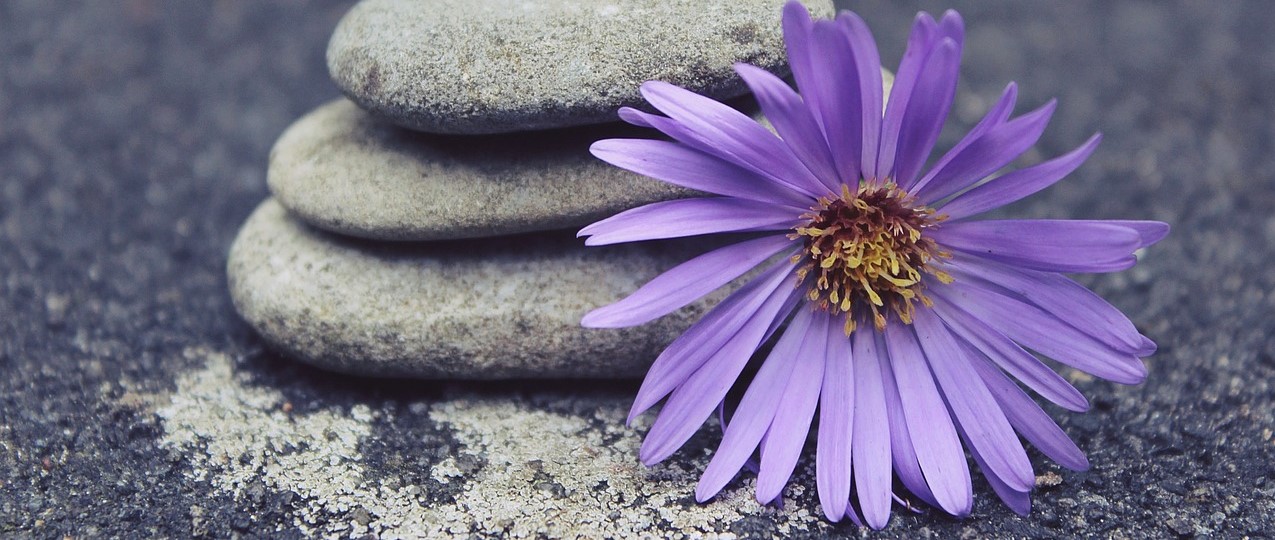 formazione_ayur_yoga formazione_ayur_yoga