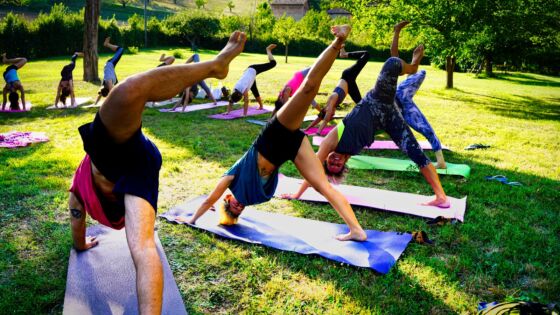 HATHA YOGA: LA VIA DELLO SFORZO