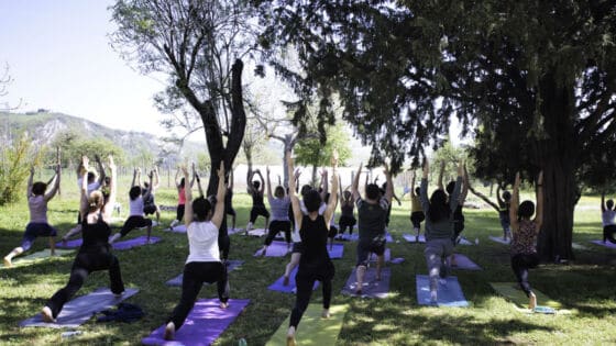 TIPI DI YOGA: QUALI SONO I PIU’ DIFFUSI