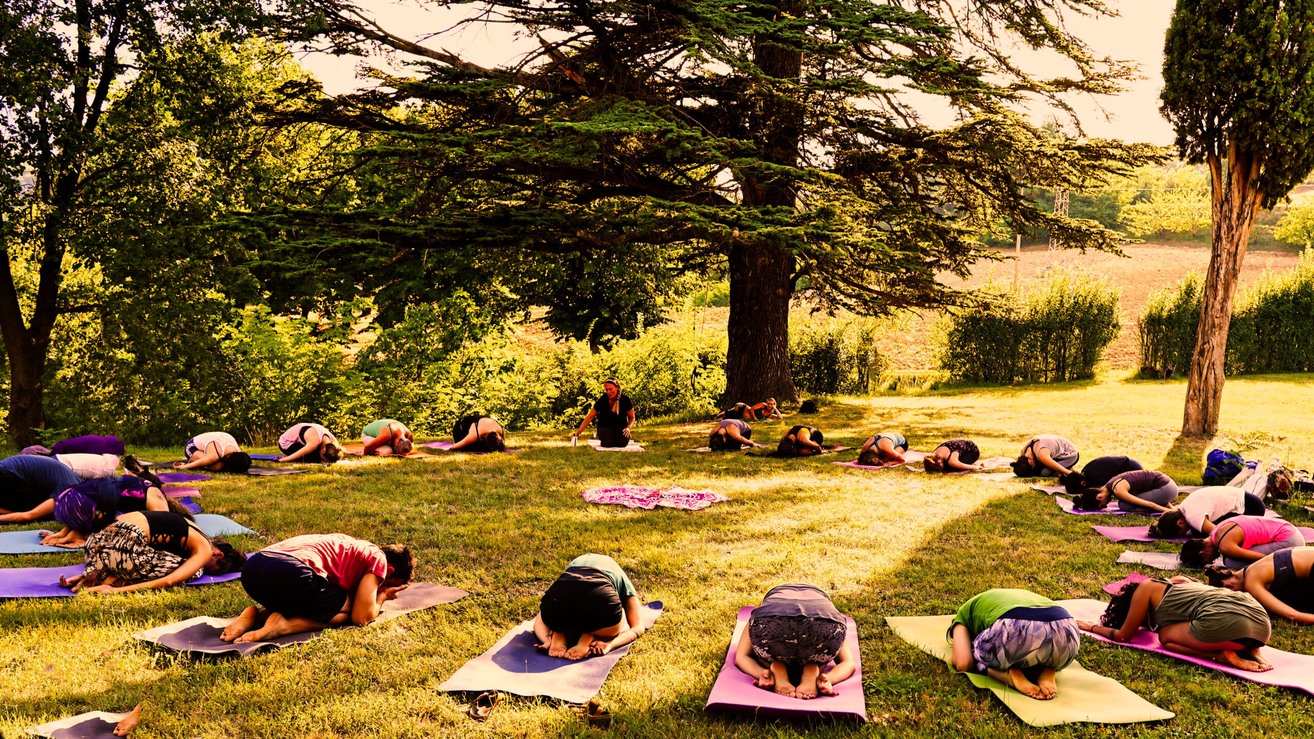 Formazione Yoga Nidra