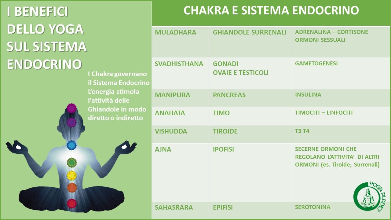 BENEFICI DELLO YOGA CHAKRA E SISTEMA ENDOCRINO