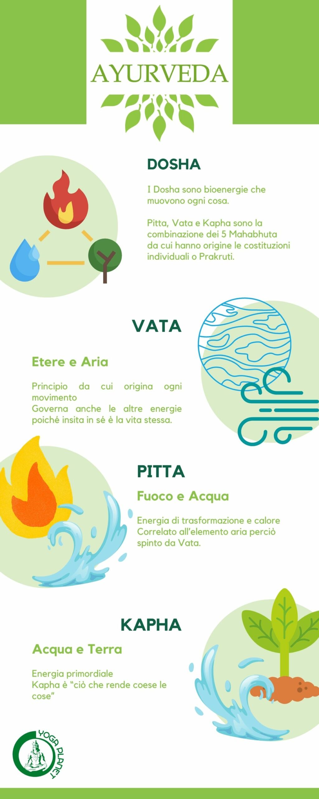 DOSHA INFOGRAFICA