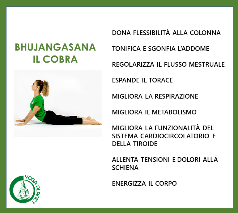 BHUJANGASANA BENEFICI