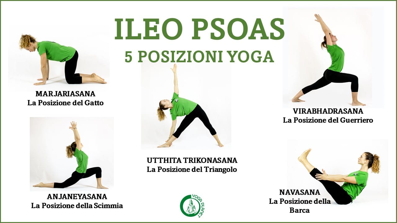 PSOAS POSIZIONI