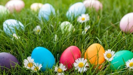 PASQUA SENZA CONFINI