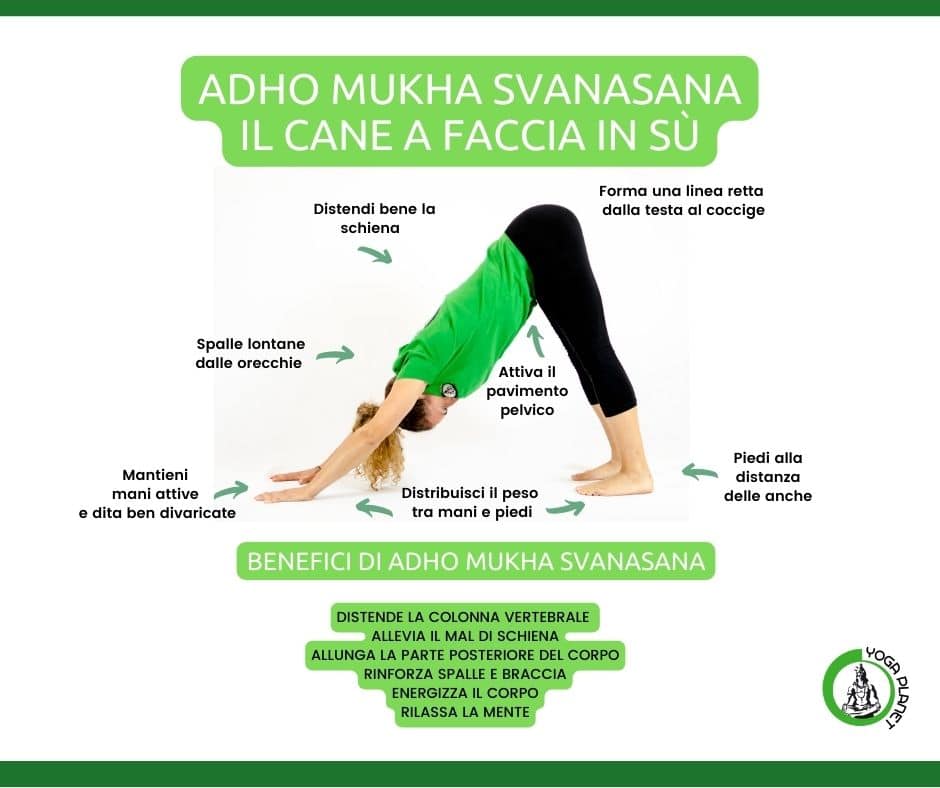 Adho Mukha Svanasana Benefici