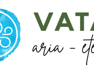 VATA DOSHA