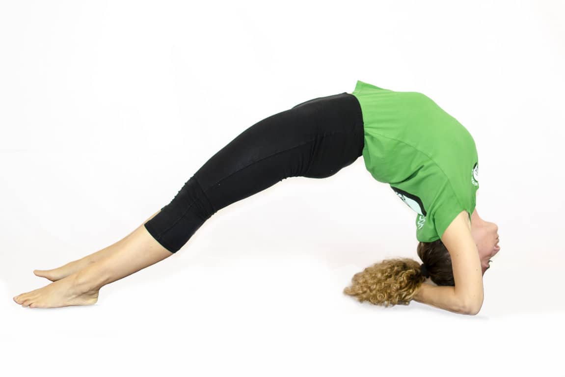 Urdhva Dhanurasana con gambe distese e avambracci a terra