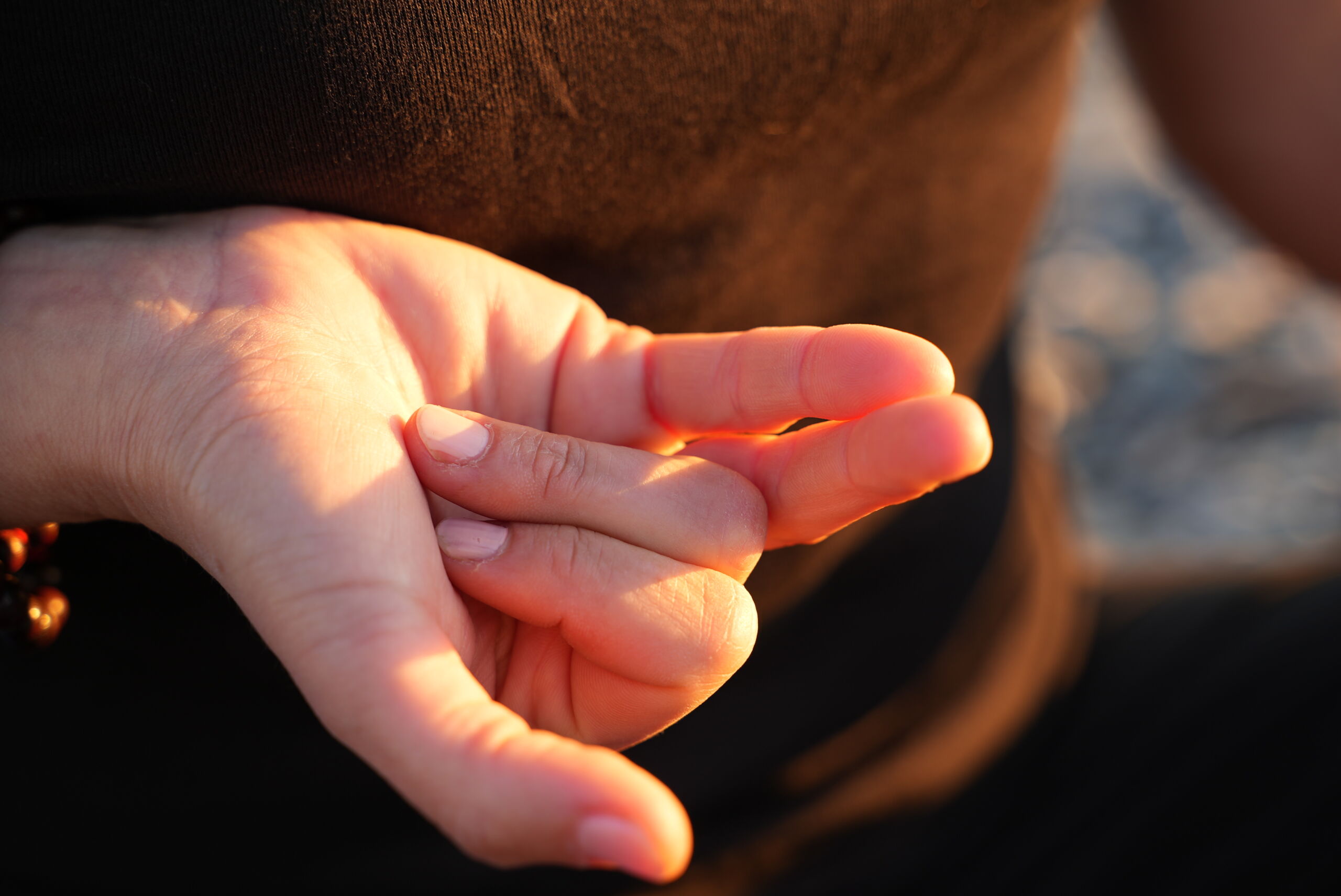 Nasagra Mudra 