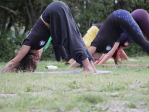 Adho Mukha Svanasana