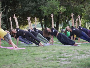 TIPI DI YOGA: QUALI SONO I PIU’ DIFFUSI