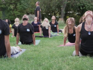 URDHVA MUKHA SVANASANA