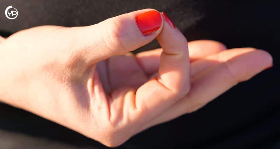 Jnana Mudra o Gyan Mudra e Chin Mudra