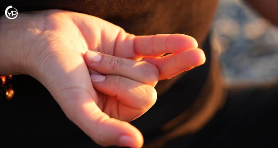 Nasagra Mudra o Vishnu Mudra