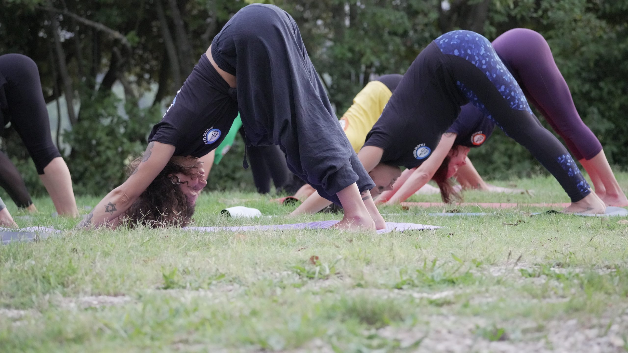 Adho Mukha Svanasana scaled