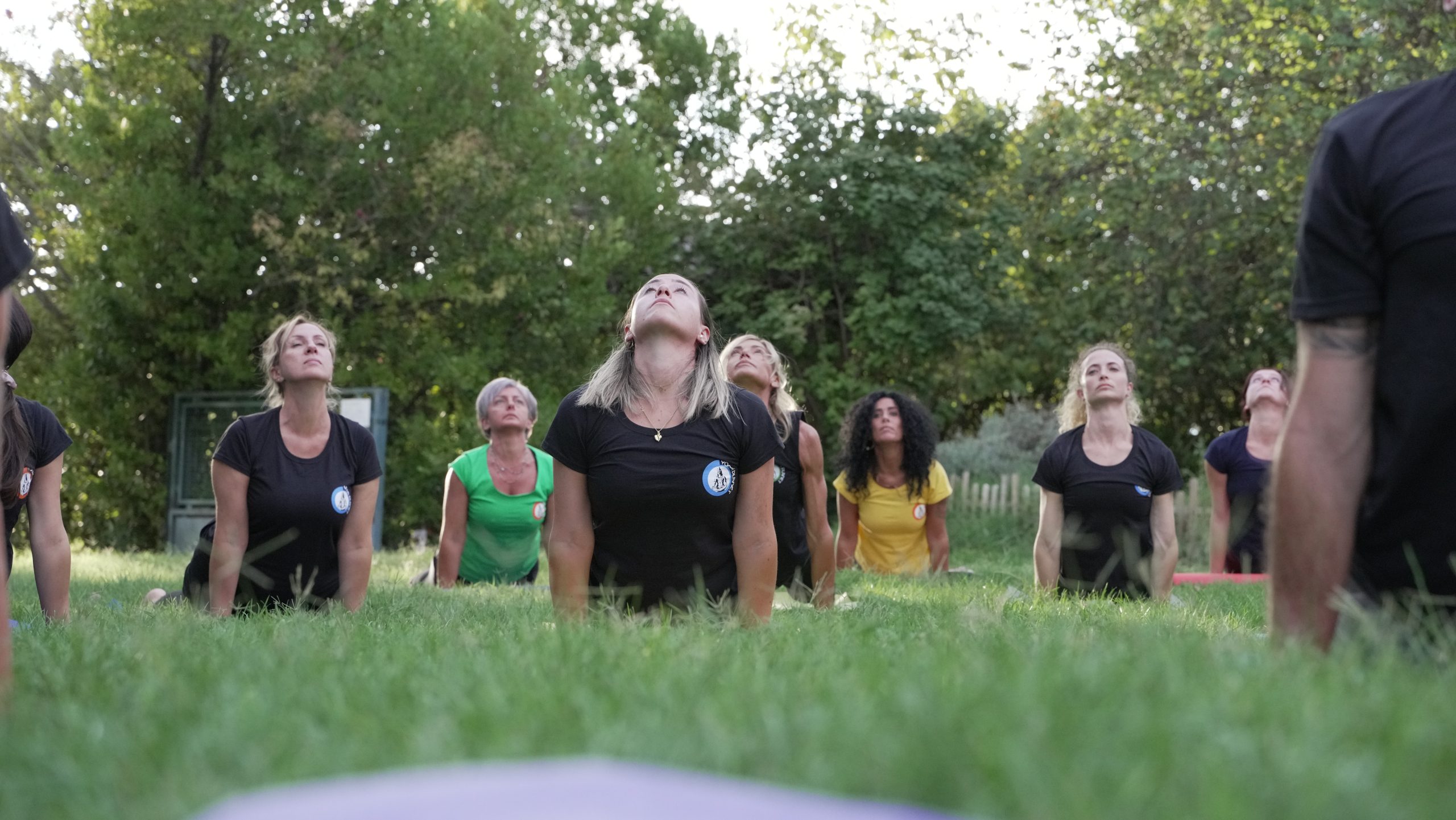 Pratica Yoga dedicata a Lakshmi, Urdhva Mukha Svanasana