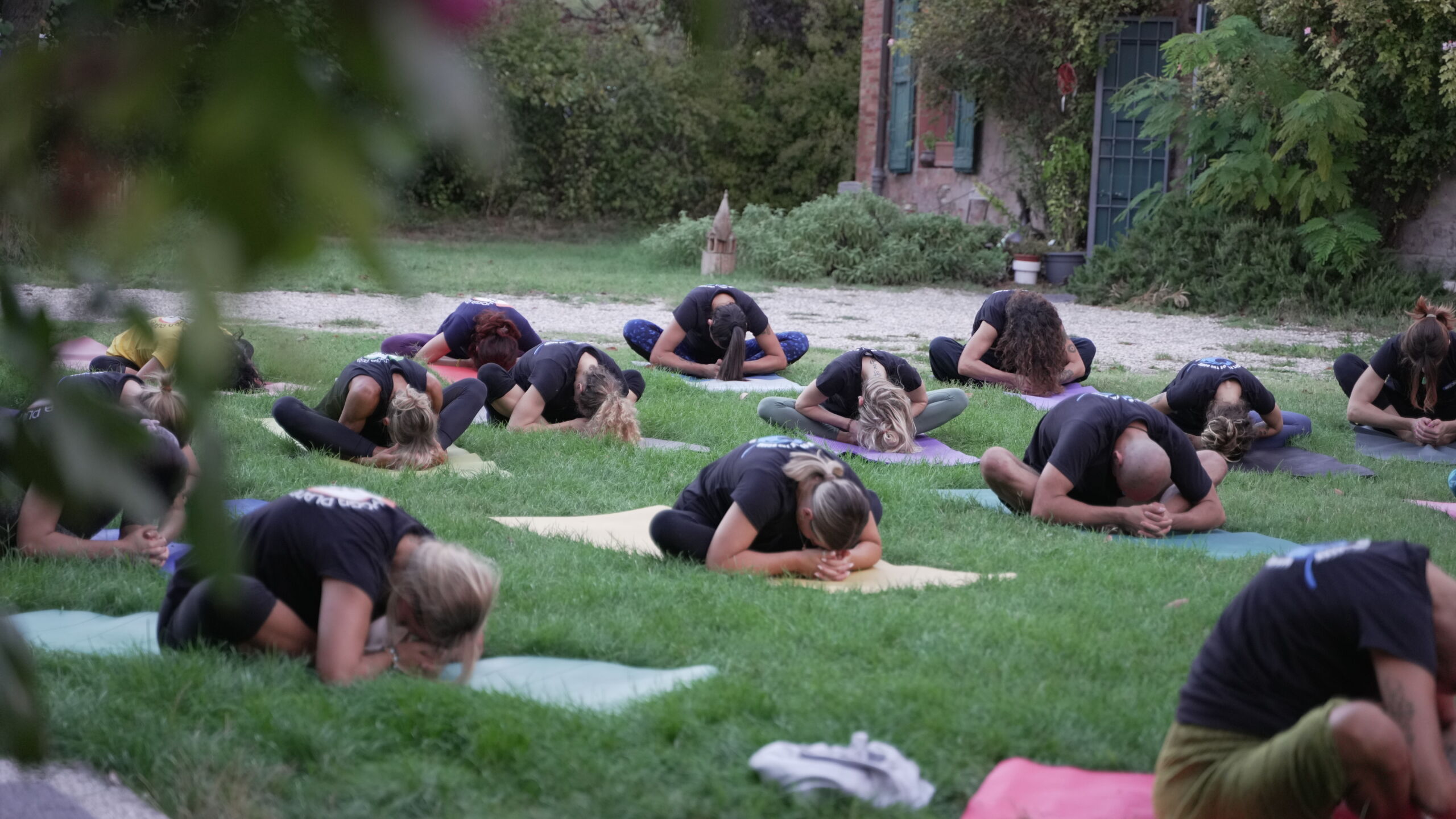 Dharma Yoga