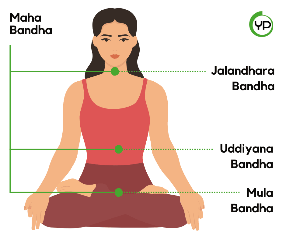 I Bandha nello Yoga: tutto quello che c'è da sapere 2 I 4 Bandha principali dello Yoga