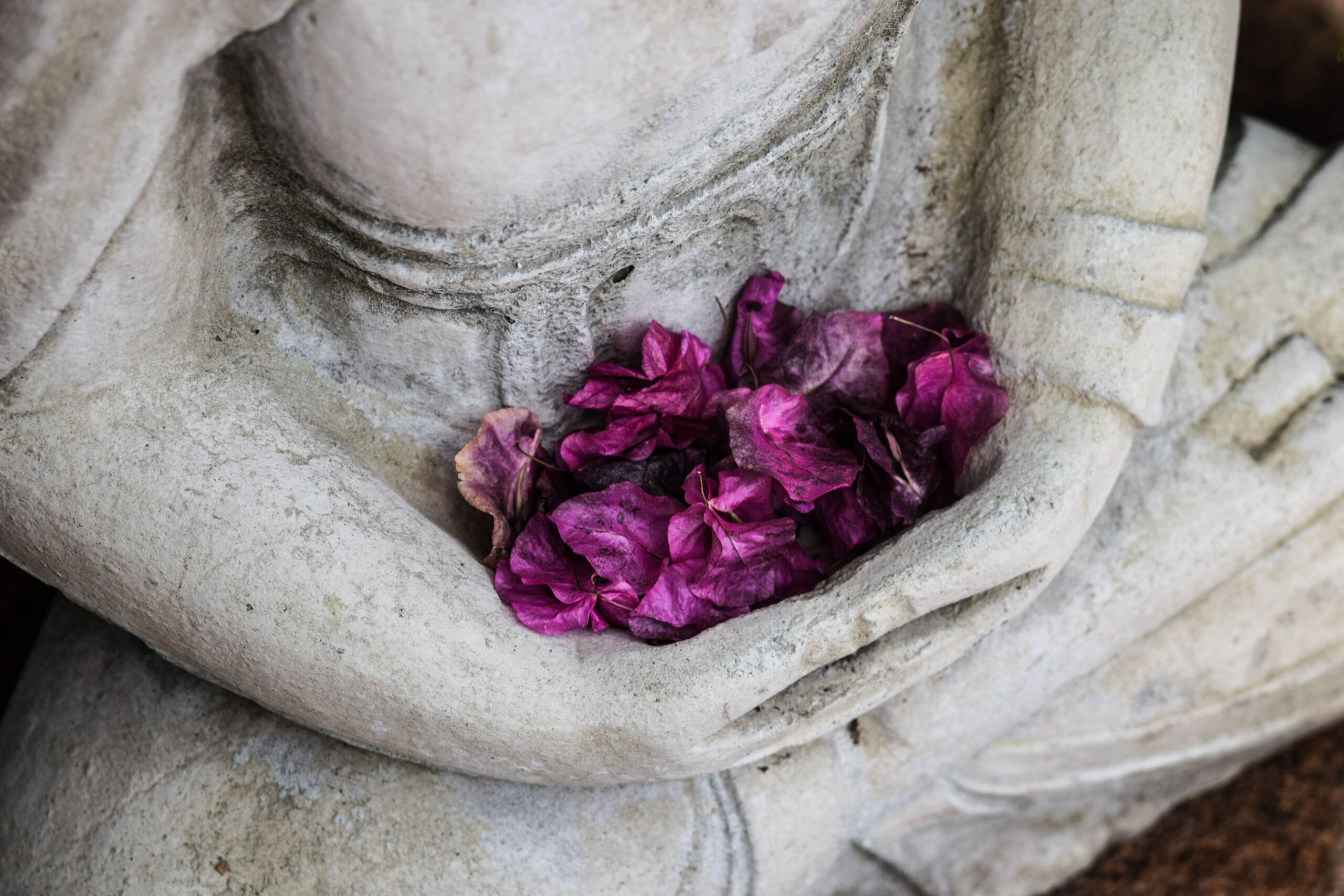 La Meditazione Zen Origini E Benefici Scaled 1