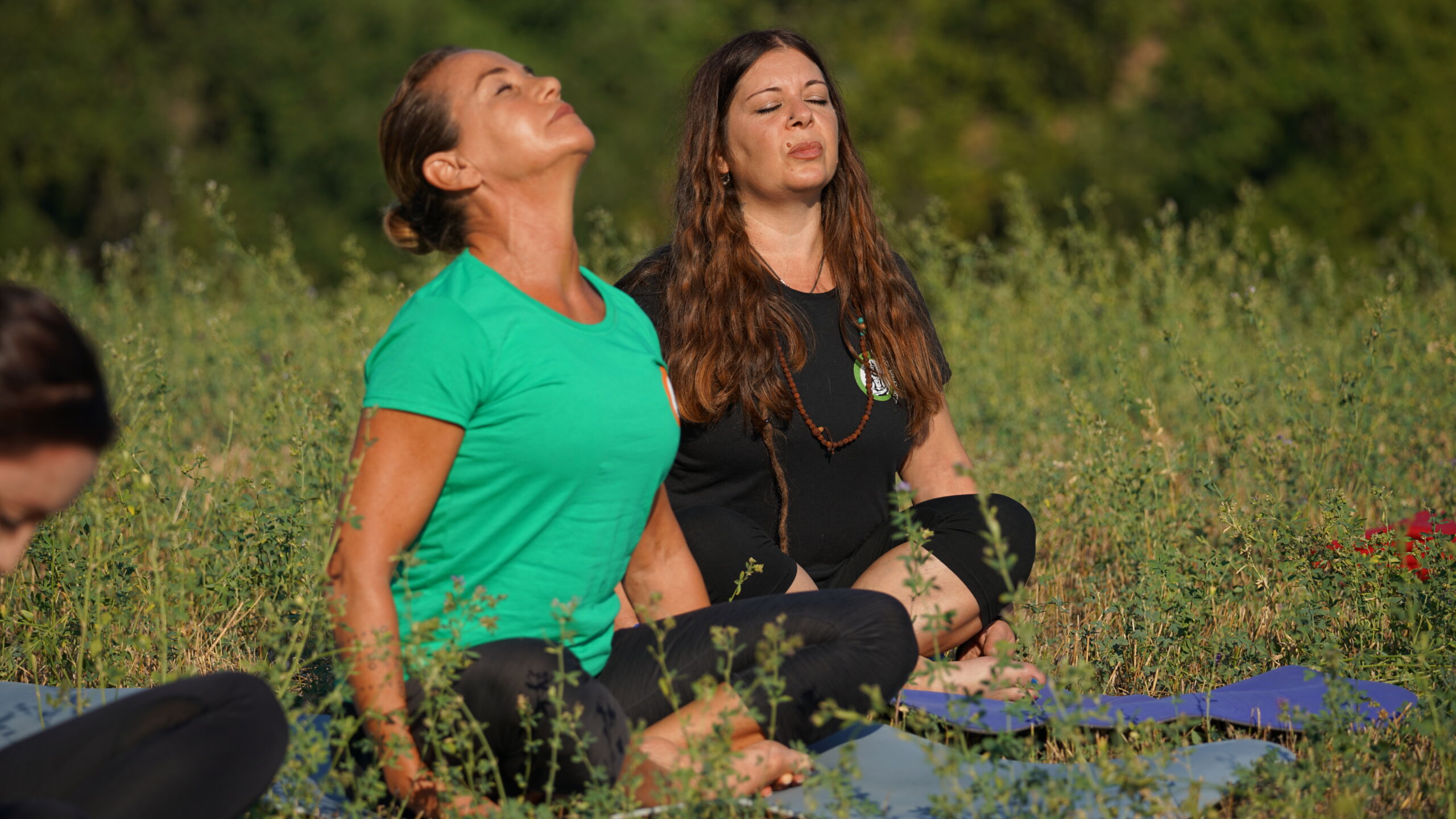 Meditazione scaled 2