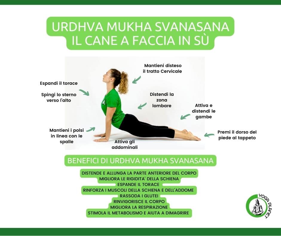 Urdhva Mukha Svanasana 2 Urdhva Mukha Svanasana Benefici