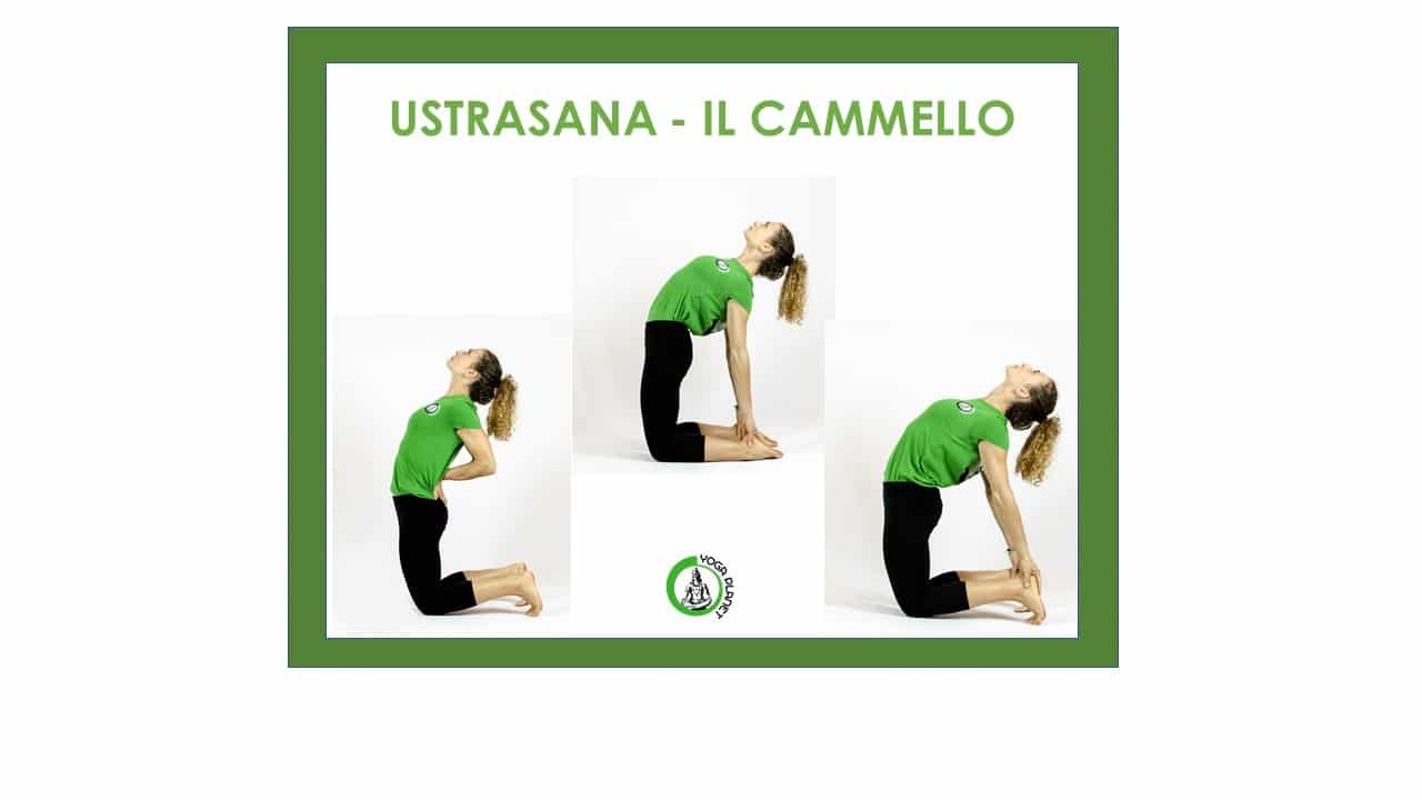 Ustrasana Varianti
