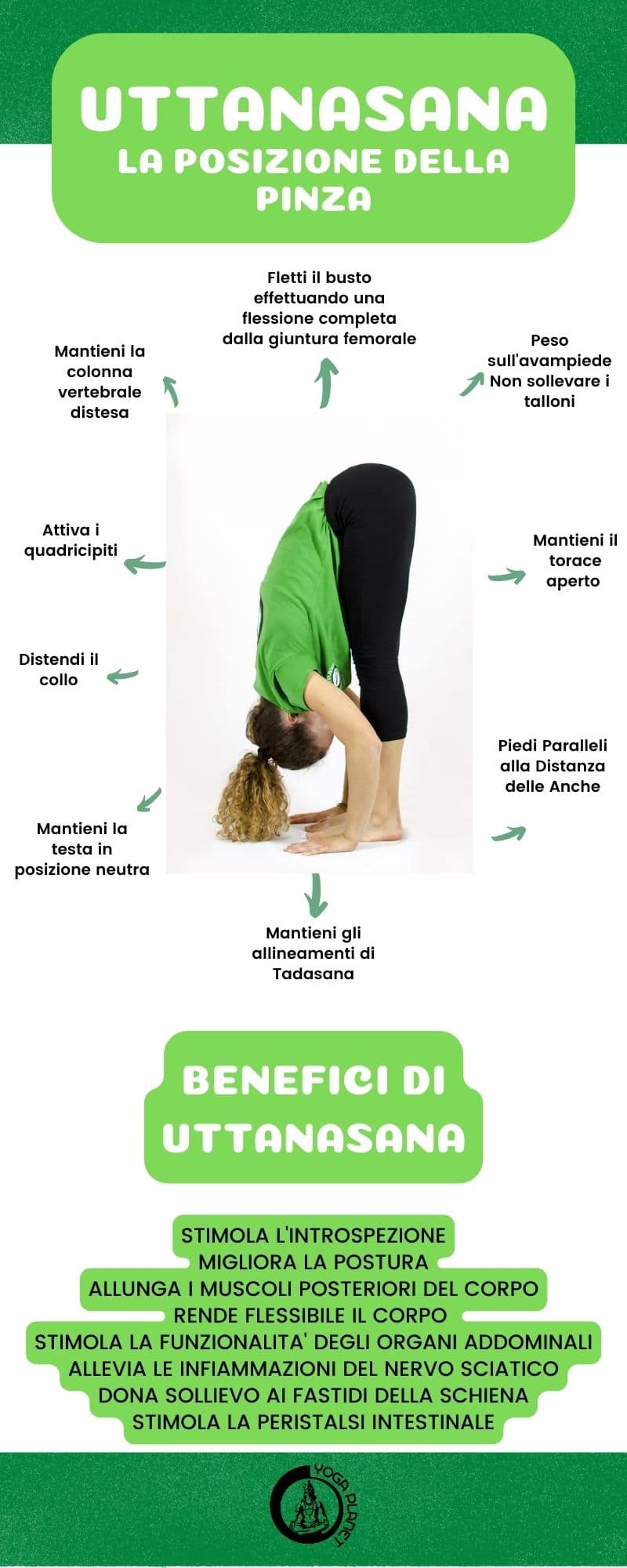 Uttanasana: La Posizione Yoga Della Pinza 2 Uttanasana Posizione Yoga Benefici