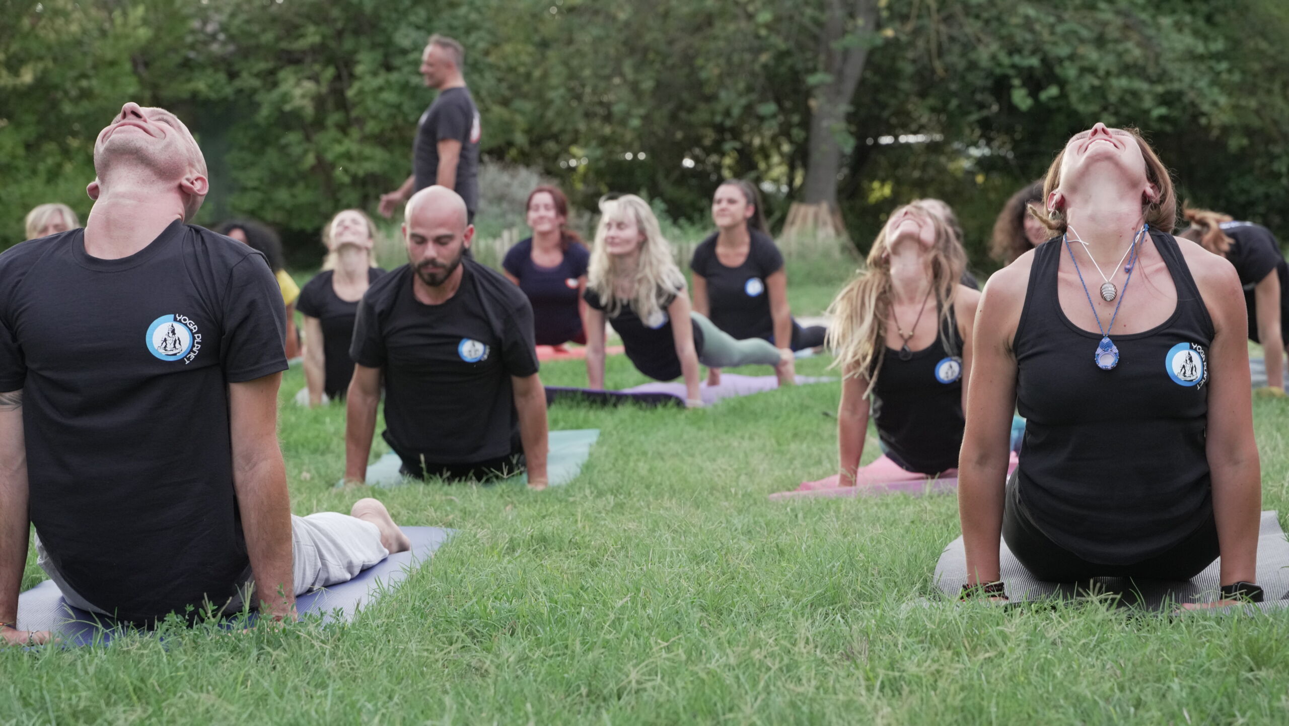 Urdhva Mukha Svanasana