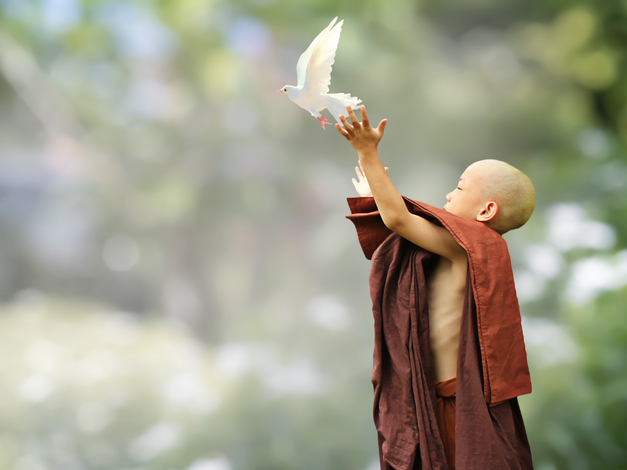 Meditazione Yoga: tutto quello che c’è da sapere 19 Vipassana