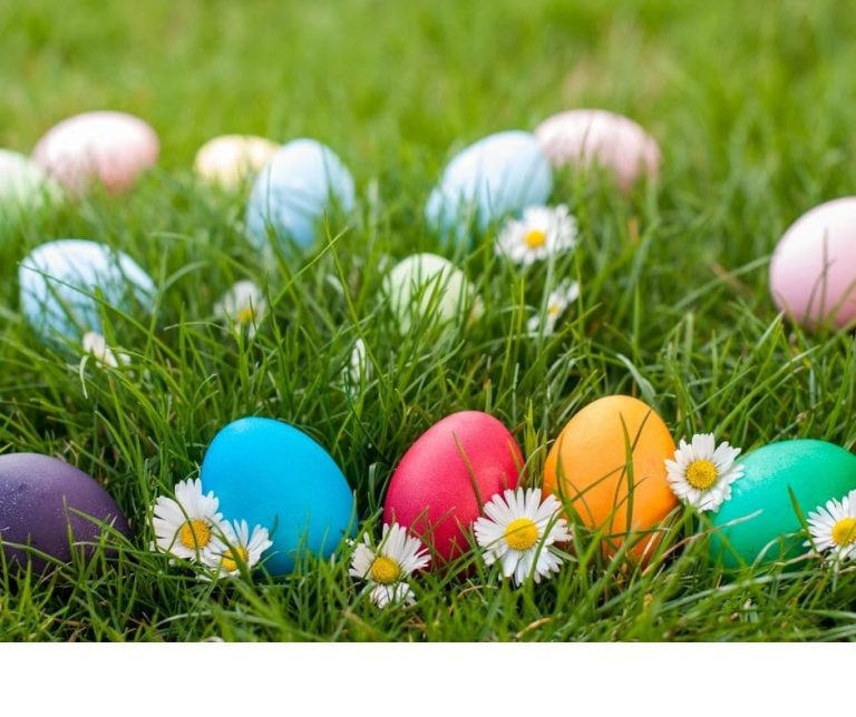 Yoga Pasqua