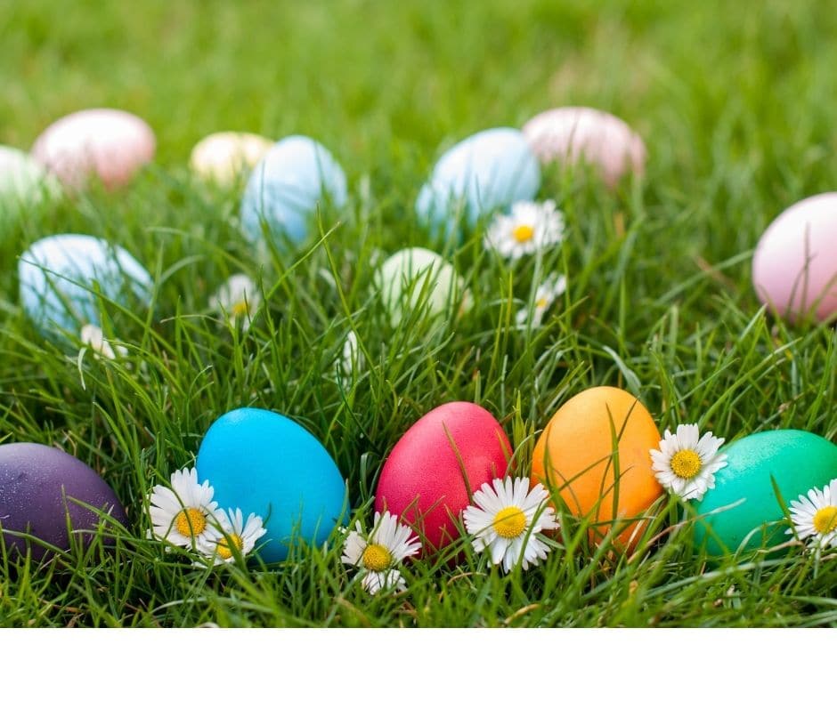 YOGA PASQUA