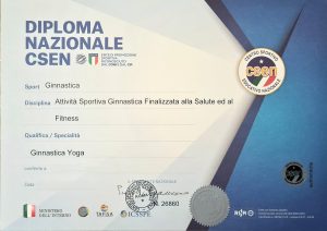 diploma 500