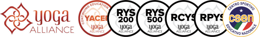 Corso Insegnanti <i>AcroYoga</i> 1 yoga alliance